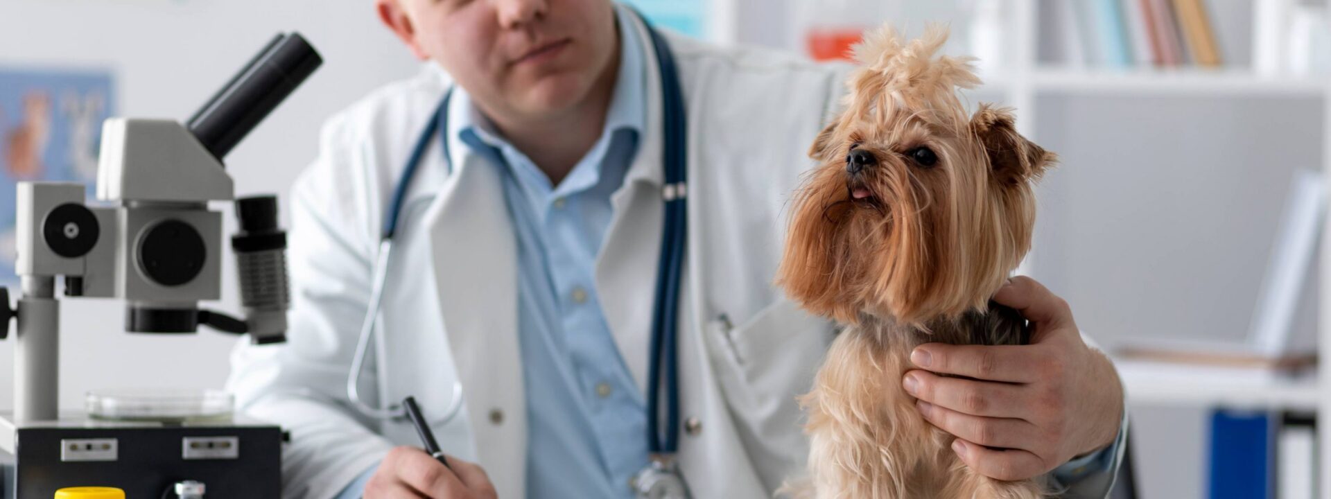 services2-min Consulta veterinaria general para perros y gatos en Heredia